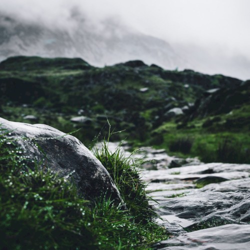 Second Nature