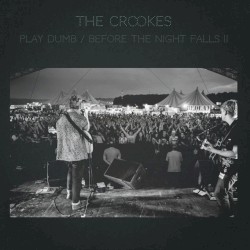 Play Dumb / Before the Night Falls II