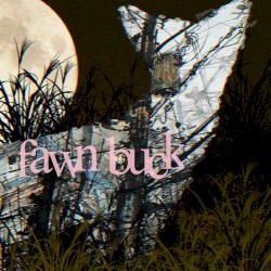 fawnbuck