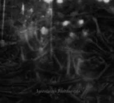 Ignominious Fundamentals