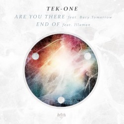 Are You There / End of