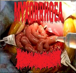 Myxorrhoea / Bowel Fermentation