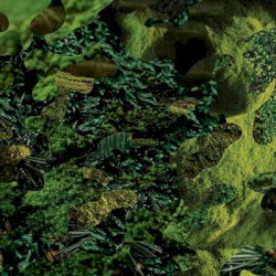 La forêt des mal-aimés