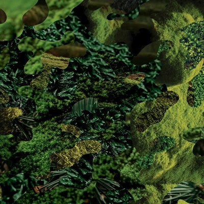 La forêt des mal-aimés