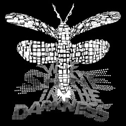 We Shine in the Darkness