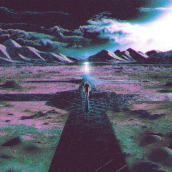 Desert Trails