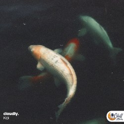 Koi