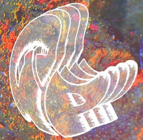 Live 7-21-21