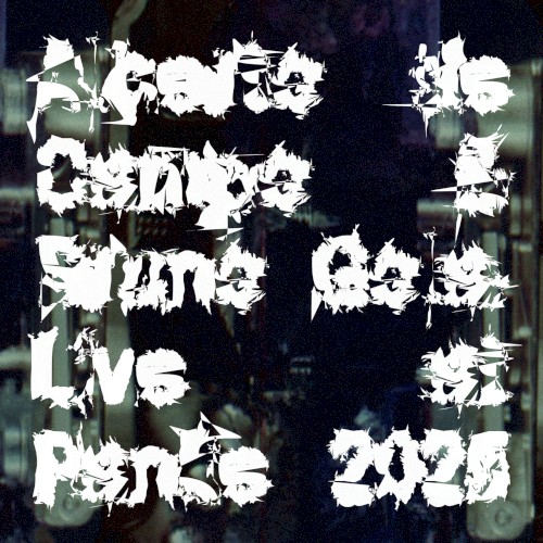 Live at Panke 2025