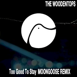 Too Good to Stay (Moongoose remix)