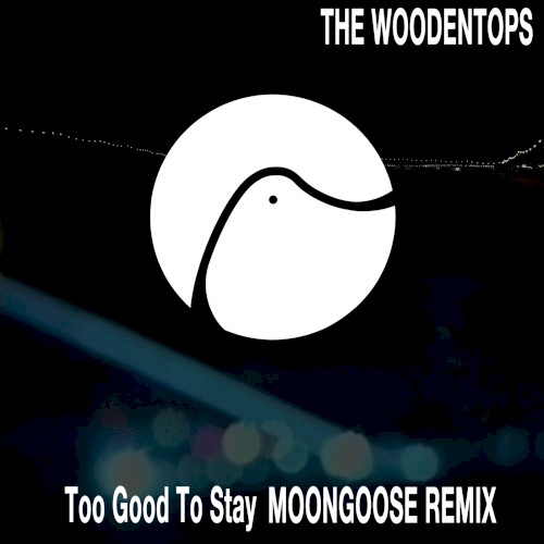 Too Good to Stay (Moongoose remix)