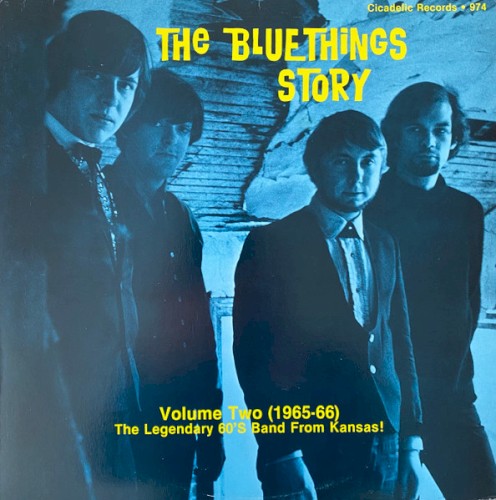 The Bluethings Story Volume Two (1965-1966)