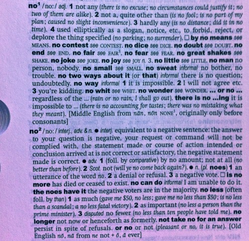 No Dictionary