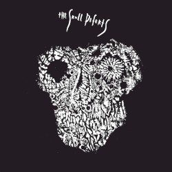The Skull Defekts