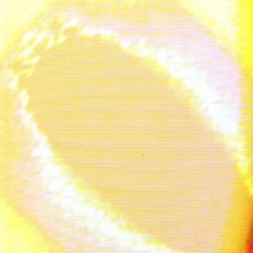 apprehension