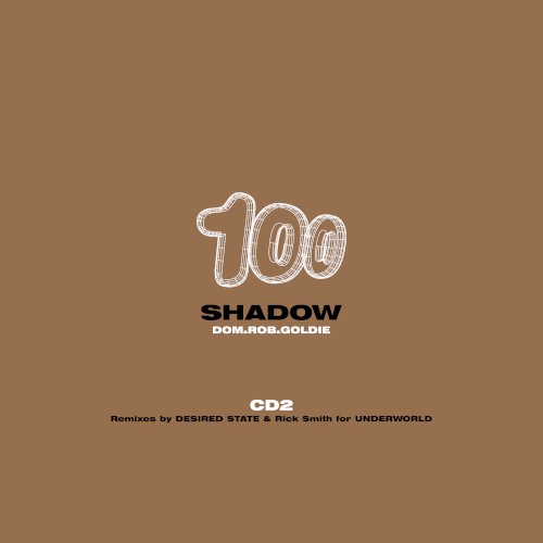 The Shadow / Distorted Dreams