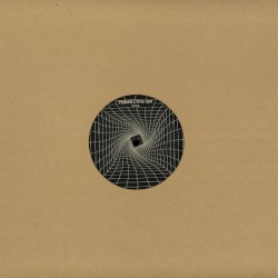 Perspective 004