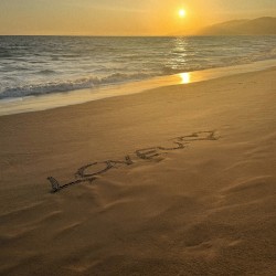 L.O.V.E.U