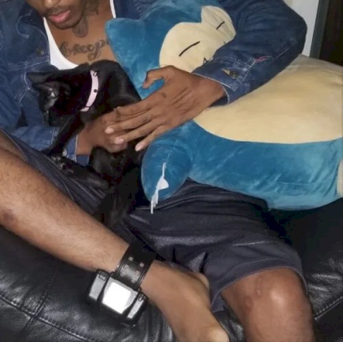#ProudCatOwner #IHateRappers #IEatPussy