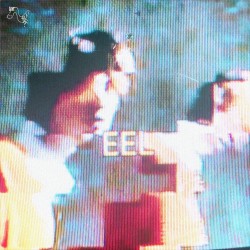 eel