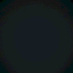 [NULL]'s Paradise