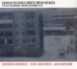 A Bird in the Hand Is Worth Two in the Bush (The Last Recordings, Sweden, November 2013)