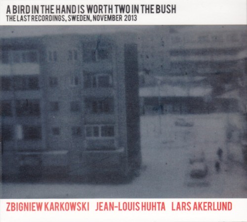 A Bird in the Hand Is Worth Two in the Bush (The Last Recordings, Sweden, November 2013)