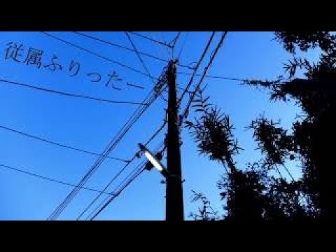 従属ふりった