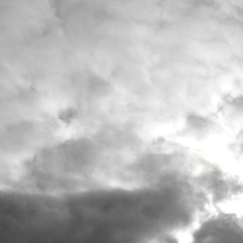 Two Lovely Pigies in the Sky
