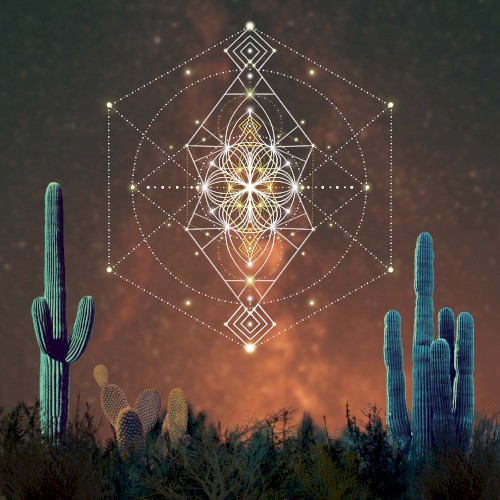 Sueño Desierto en un Camino Estrellado