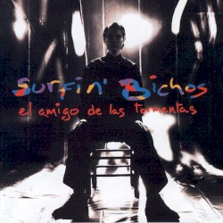 El amigo de las tormentas