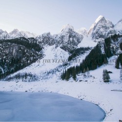Mournful Winter
