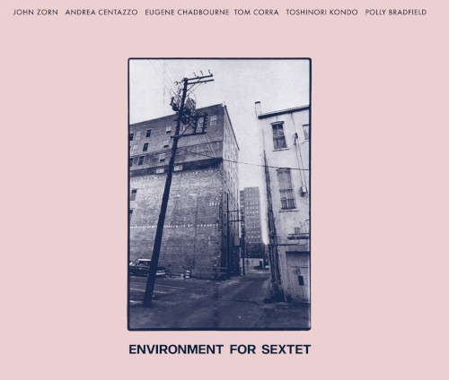 Environment for Sextet