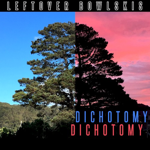 Dichotomy