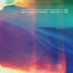 35 - Free Ambient Electronic Sampler