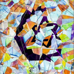 SEEIN COLORS