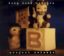 Project Twinkle