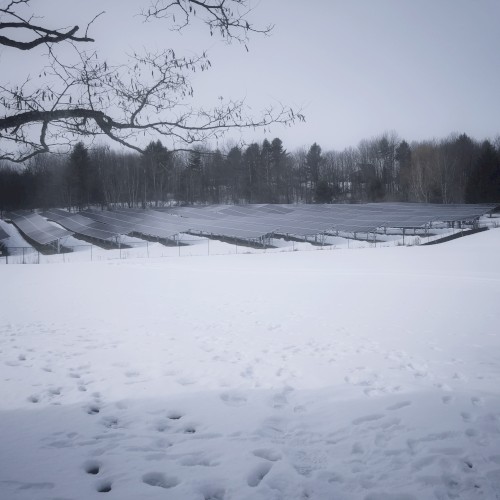 A Portrait of Vermont