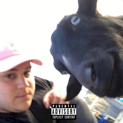 Iwrotethisin5minutes