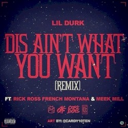 Dis Ain't What You Want (remix)