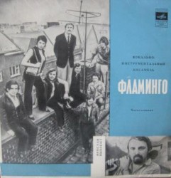 Вокально-Инструментальный Ансамбль «Фламинго»