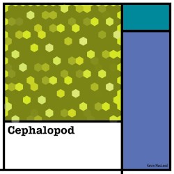 Cephalopod