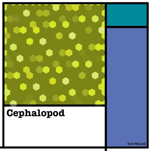Cephalopod