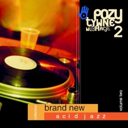 Pozytywne Wibracje, Volume 2: Brand New Acid Jazz