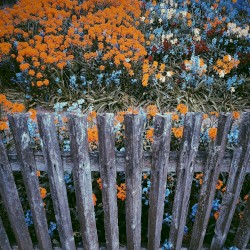 Capture EP