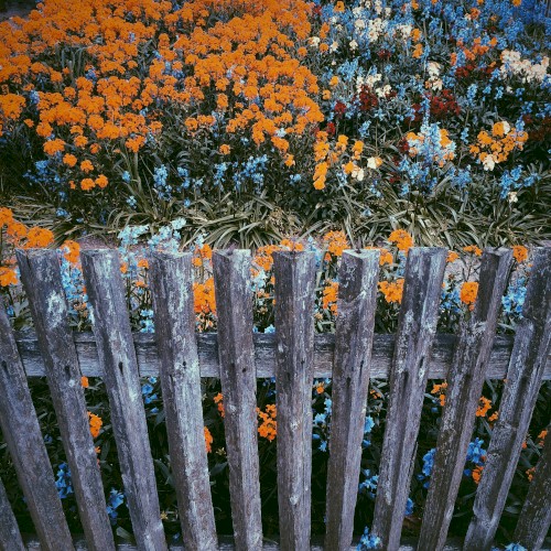 Capture EP