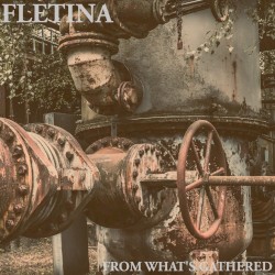 From What’s Gathered