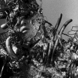 Metal Fetishist / Vessel of Flesh