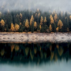 Fog Over The Lake