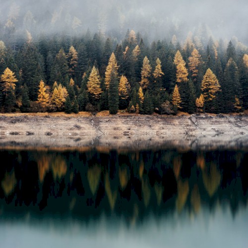 Fog Over The Lake